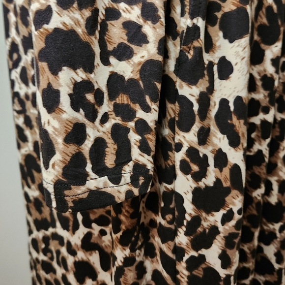 Leopard long sleeve Maxi Dress - Picture 9 of 11